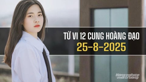 Tử vi 12 cung hoàng đạo ngày 25/8/2025: Bảo Bình tràn đầy năng lượng