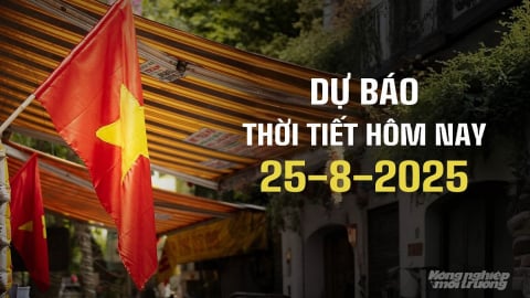 Tin thời tiết hôm nay 25/8/2025 mới nhất