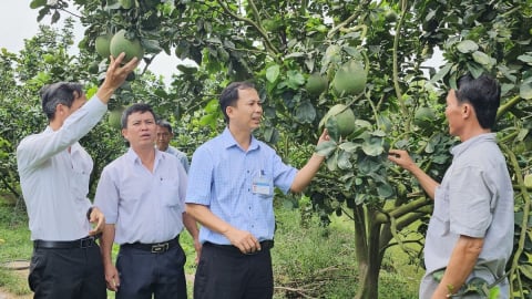Điểm sáng trong công tác giảm nghèo