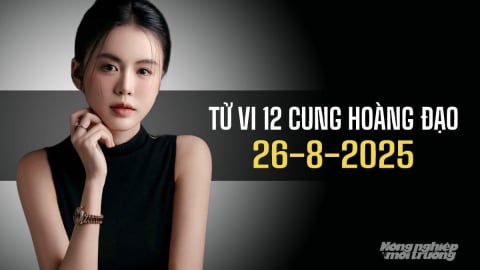 Tử vi 12 cung hoàng đạo ngày 26/8/2025: Song Ngư đón nhiều nhiều cơ hội