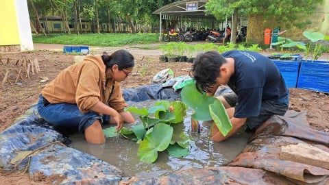 Giải pháp thủy lợi xanh cho tương lai bền vững