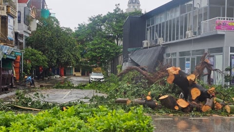 Bão số 5 khiến hàng nghìn hộ dân ở Thanh Hóa bị ngập