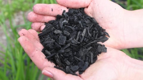Việt Nam có thể thu hàng tỷ USD mỗi năm từ tín chỉ carbon biochar