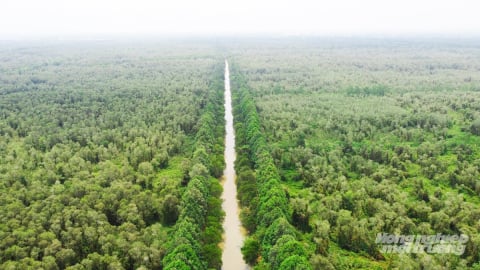 Lung Ngọc Hoàng bảo tồn đa dạng sinh học với phát triển du lịch sinh thái