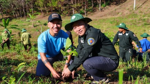 Giữ rừng và dựng tương lai xanh [Bài 1]: Từ mất rừng nghiêm trọng thành điểm tham chiếu toàn cầu
