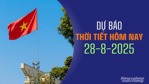 Dự báo thời tiết hôm nay 28/8/2025: Tin áp thấp nhiệt đới trên biển Đông