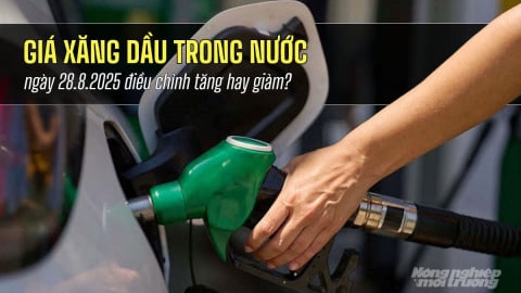 Giá xăng dầu trong nước ngày 28/8/2025 điều chỉnh tăng nhẹ