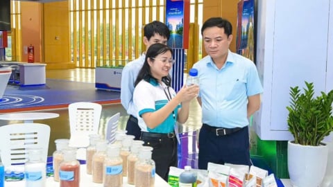 Phú Mỹ - PVFCCo vinh dự tham gia gian hàng trưng bày của Petrovietnam