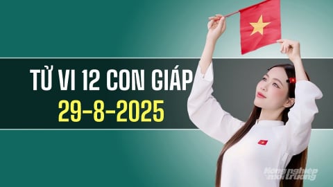 Tử vi 12 con giáp ngày 29/8/2025: Người tuổi Dần tỏa sáng
