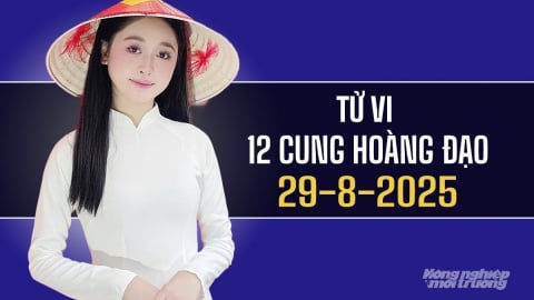 Tử vi 12 cung hoàng đạo ngày 29/8/2025: Song Tử vẫn kiên định vượt khó