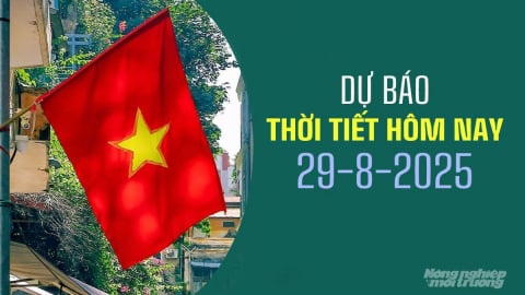 Dự báo thời tiết hôm nay 29/8/2025: Nhiều nơi tiếp tục mưa rào và dông