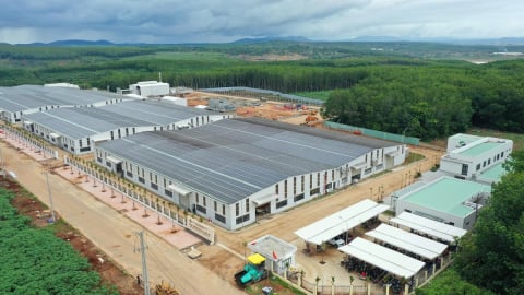 Cơ hội ‘bứt phá’ cho nông sản Việt