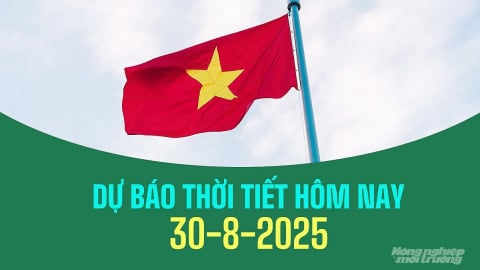 Dự báo thời tiết hôm nay 30/8/2025: Tin bão số 6 mới nhất