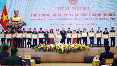 ThaiBinh Seed vinh dự nhận Bằng khen của Thủ tướng Chính phủ
