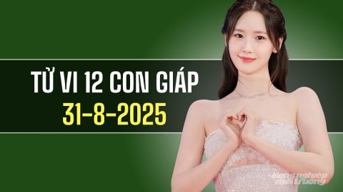 Tử vi 12 con giáp ngày 31/8/2025: Tuổi Thìn may mắn, Hợi gặp hái thành quả