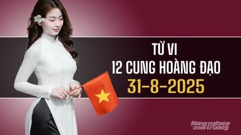 Tử vi 12 cung hoàng đạo ngày 31/8/2025: Bạch Dương cẩn trọng, Sư Tử khởi sắc