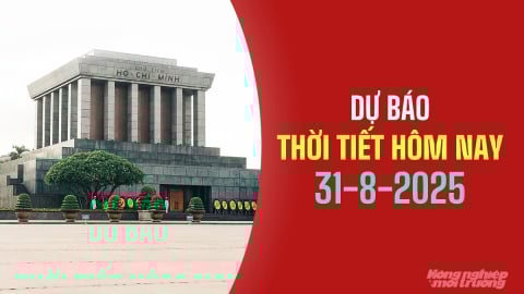 Dự báo thời tiết hôm nay 31/8/2025: Miền Trung và Nam Bộ mưa dông rải rác