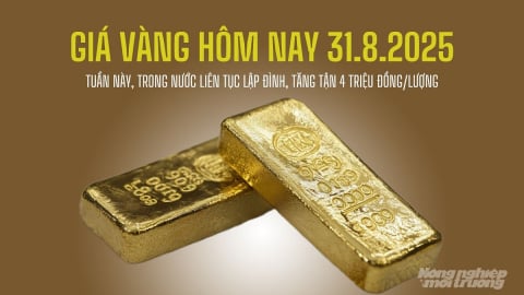 Giá vàng hôm nay 31/8/2025: Tuần này tăng nóng 4 triệu đồng/lượng