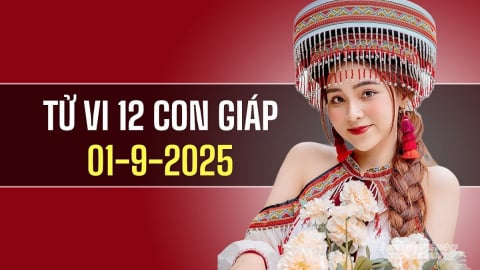 Tử vi 12 con giáp ngày 1/9/2025: Người tuổi Hợi và Tuất gặp thuận lợi