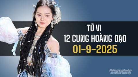 Tử vi 12 cung hoàng đạo ngày 1/9/2025: Xử Nữ, Bảo Bình gặp nhiều may mắn
