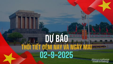 Dự báo thời tiết ngày mai 2/9/2025 mới nhất