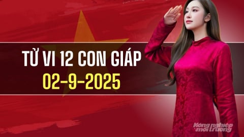Tử vi 12 con giáp ngày 2/9/2025: Tuổi Thìn nhận tin vui về tài chính