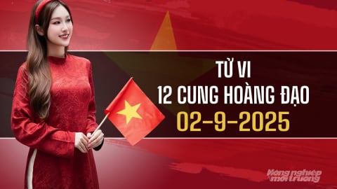 Tử vi 12 cung hoàng đạo ngày 2/9/2025: Chuyện tình cảm của Nhân Mã khởi sắc