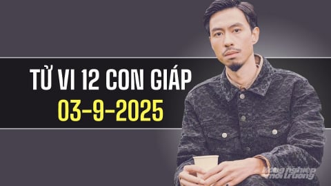 Tử vi 12 con giáp ngày 3/9/2025: Tuổi Dần phấn chấn, tuổi Mão hanh thông