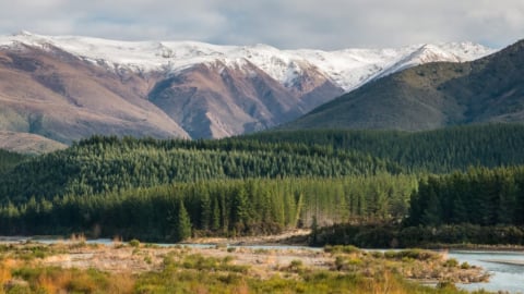 New Zealand tìm cách thay thế nhựa từ nhiên liệu hóa thạch