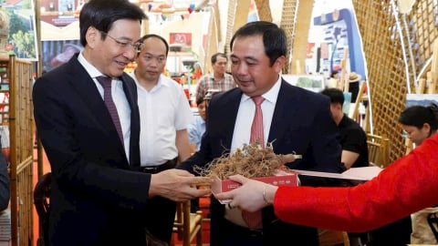 ‘Quốc bảo’ Sâm Ngọc Linh ghi dấu tại Triển lãm Thành tựu Đất nước
