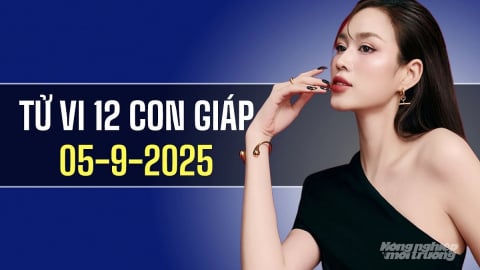 Tử vi 12 con giáp ngày 5/9/2025: Tuổi Ngọ bùng nổ, gặt hái thành công