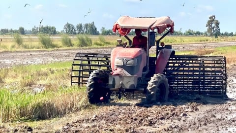 Nông dân đón phù sa, thủy lợi phòng úng ngập
