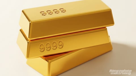 Giá vàng hôm nay 5/9/2025 dự báo tăng hay giảm?