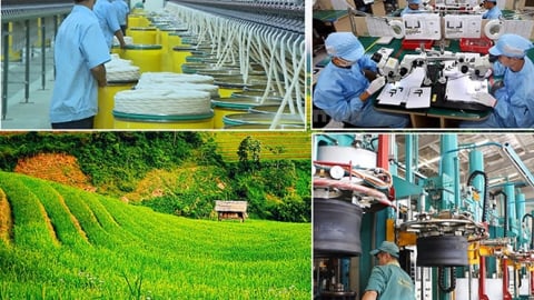 Chính phủ phê duyệt Chương trình phát triển ngành công nghiệp môi trường giai đoạn 2025-2030