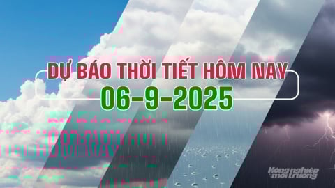 Dự báo thời tiết hôm nay 6/9/2025 mới nhất