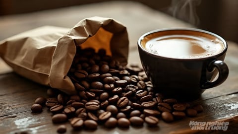 Giá cà phê hôm nay 6/9/2025: Robusta giảm mạnh