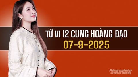 Tử vi 12 cung hoàng đạo ngày 7/9/2025: Kim Ngưu được quý nhân phù trợ