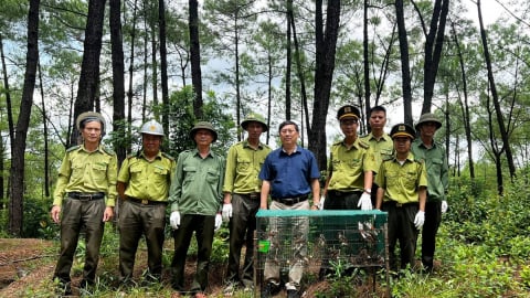 Thả hàng chục con chim chào mào về rừng trong mùa Vu Lan