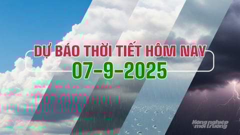 Dự báo thời tiết hôm nay 7/9/2025: Tin bão số 7 trên biển mới nhất
