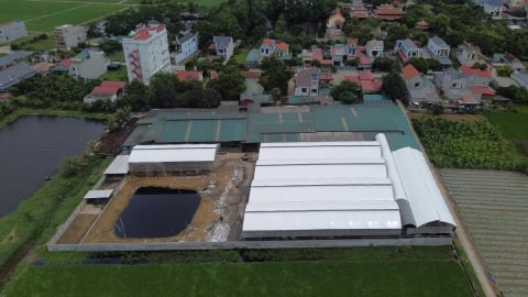 Yêu cầu tháo dỡ trang trại bò xây dựng trái phép