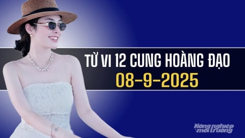 Tử vi 12 cung hoàng đạo ngày 8/9/2025: Bọ Cạp hãy vững vàng trước thử thách