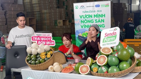 AI và thương mại điện tử giúp nông sản Việt vượt rào cản xuất khẩu