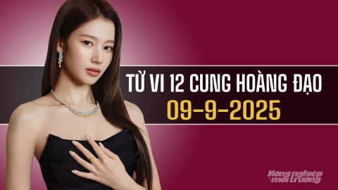 Tử vi 12 cung hoàng đạo ngày 9/9/2025: Song Tử thuận lợi, Sư Tử phát triển