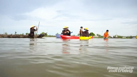Về Thường Phước rong chơi trên đồng nước