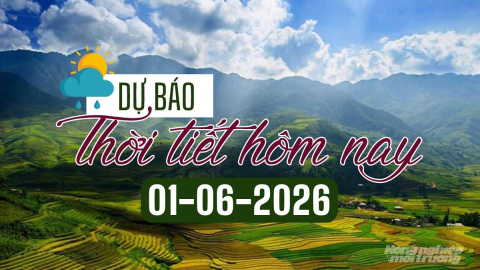 Tin tức thời tiết hôm nay 1/6/2026: Bắc Bộ và Trung Bộ nắng nóng