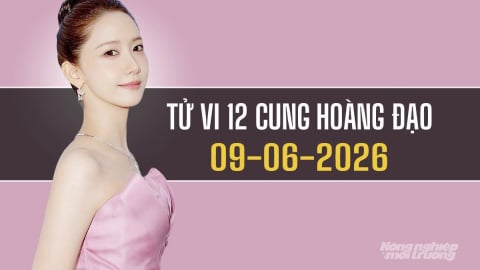 Tử vi 12 cung hoàng đạo ngày 9/6/2026: Song Tử, Ma Kết thăng tiến