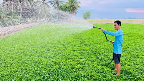 Cà Mau nâng cao năng lực cấp nước sạch phục vụ 130.000 hộ dân