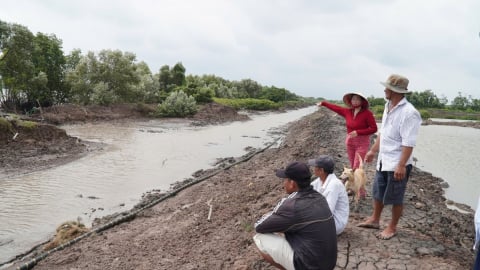 Cà Mau chủ động triển khai Kế hoạch phòng, chống thiên tai năm 2026