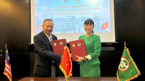 Ký hợp đồng xuất khẩu và hợp tác phát triển cao lương với Malaysia