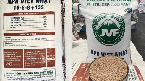 Lời giải cho bài toán dinh dưỡng hợp lý và tối ưu chi phí